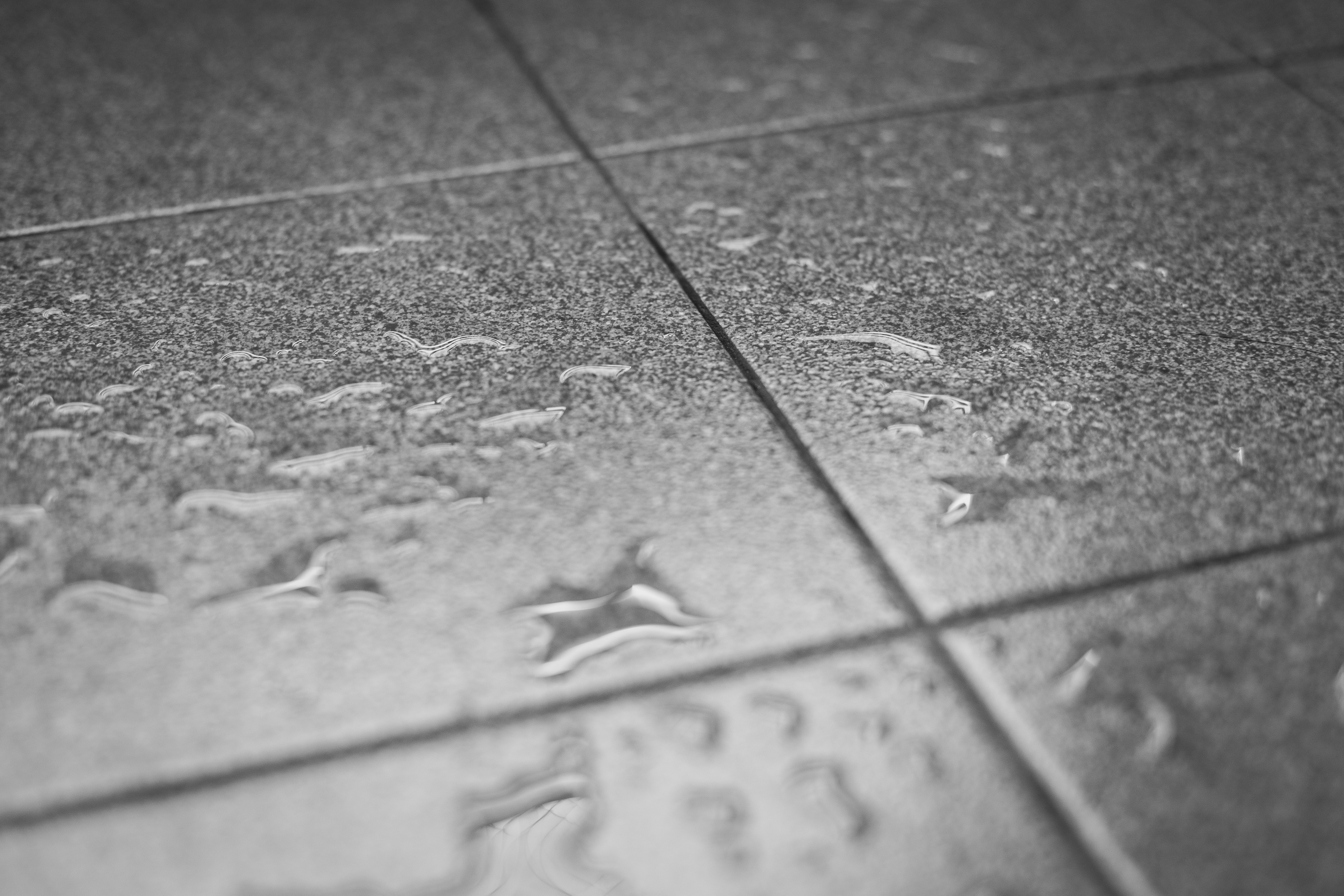 Droplets of water on durable tile flooring installed in a mudroom.
